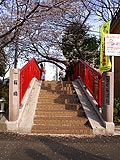 桜坂写真100406_05